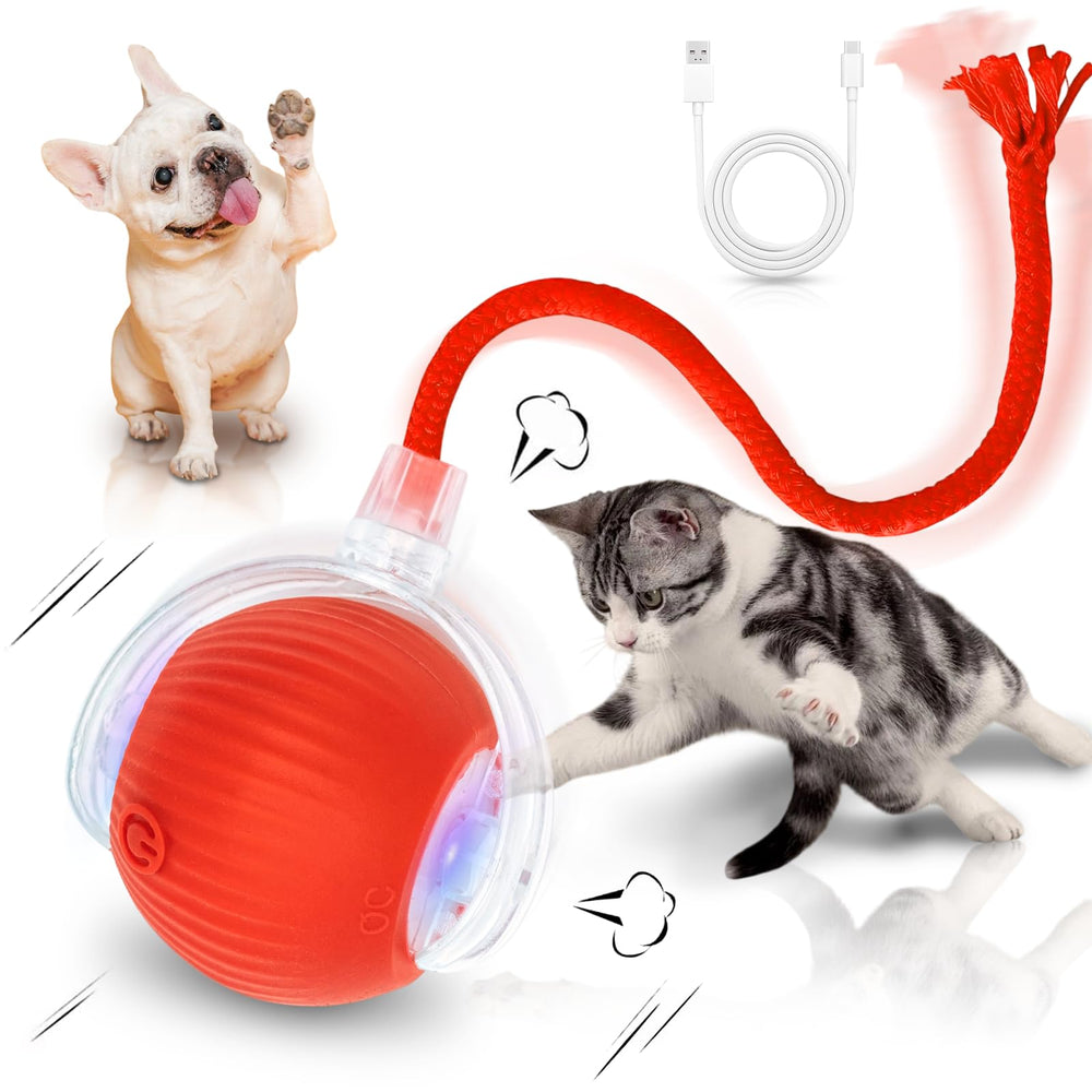MAXTOOA Interactive Cat Toy Ball Rolling engages curious indoor cats and stimulates hunting instincts during play