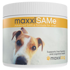 maxxipaws maxxiSAMe powder in a dog food bowl for easy daily dosing and potential liver support.