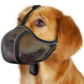 Mayerzon dog muzzle front view for a secure fit during everyday walks