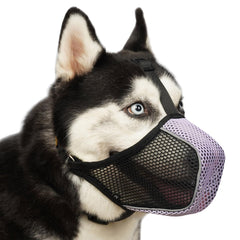 Mayerzon dog muzzle soft mesh closeup highlights comfortable fit for everyday walks.
