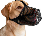 Mayerzon dog muzzle with soft mesh for breathable park comfort.