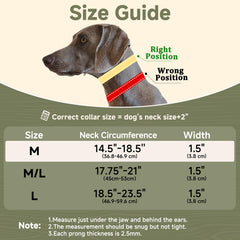 Mayerzon heavy duty D-ring collar supports durable daily training for active dogs