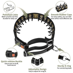 Mayerzon martingale collar close-up highlighting inner two-way chain for gentle, puppy-like correction.