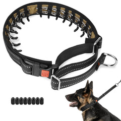 Mayerzon martingale no-pull collar on a dog showing adjustable fit for comfortable training.