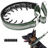 Mayerzon Martingale no pull collar buckle closeup showcasing durable alloy buckle for confident control.