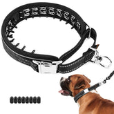 Mayerzon Martingale No Pull Collar neck area shows ergonomic fit for comfortable, secure walks.