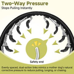 Mayerzon No-Pull Martingale Collar features neoprene padding for comfort on long walks