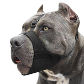 Mayerzon Pitbull Muzzle front view with anti-slip strap for safer walks.