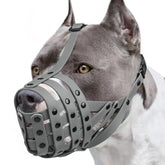 Mayerzon Pitbull Muzzle lightweight-basket keeps dogs comfortable during outdoor play