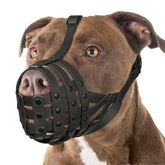 Mayerzon Pitbull Muzzle with overhead strap for secure, adjustable fit during walks.
