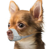 Mayerzon Short Snout Dog Muzzle Chihuahua fit provides comfortable daily wear