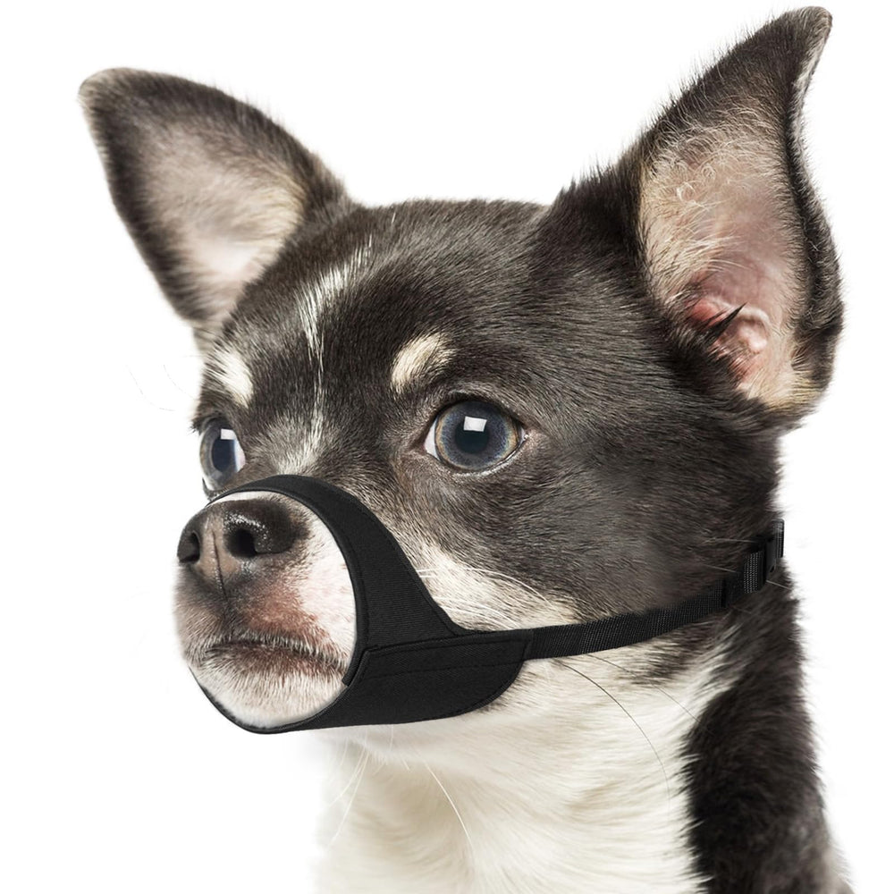 Mayerzon Short Snout Dog Muzzle XXS fit for small dogs.