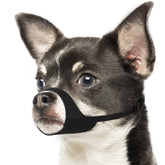 Mayerzon Short Snout Dog Muzzle XXS fit for small dogs.