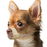 Mayerzon short-snout muzzle XS fit closeup shows snug comfort for tiny breeds.