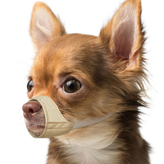 Mayerzon short-snout muzzle XS fit closeup shows snug comfort for tiny breeds.