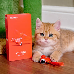 MayMaw KiTiFISH toy's realistic gold fish shape sparks natural stalking instincts