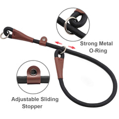 MayPaw martingale no-pull dog collar in action for calmer walks