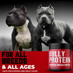 MBF Supplements pouring protein over dog food for quick meal-time protein boost.
