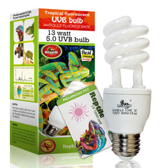MCLANZOO rainforest-uvb-bulb-13w in terrarium simulates sunlight for healthy reptile activity.