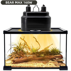 MECESOR dual lamp head with UVB focus and independent control