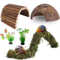 Mechpia hermit crab bridge bendable enables customizable climbing play and habitat enrichment.