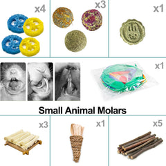 Mechpia toy-inside-tunnel foraging motivates interactive play and exploration