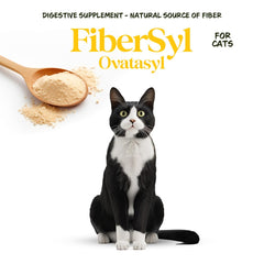 Medsmehappy Cat Digestive Health illustration demonstrates balanced stool and smoother digestion.