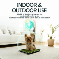 MEEXPAWS artificial grass with reinforced tufts and rubber backing for durability