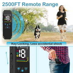 MEGWR battery life long-lasting receiver and remote with quick charging