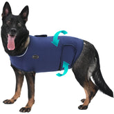 Meifsou dog anxiety vest on a dog with secure fit for calming support