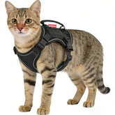 Meifsou dog harness escape-proof front view demonstrates secure walking for confident adventures.