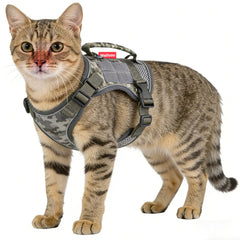 Meifsou dog harness escape-proof design keeps pets safe on outdoor adventures.