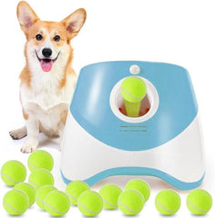 MEKAPLE automatic dog ball launcher front view in blue, ready for indoor or outdoor play.
