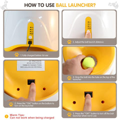 MEKAPLE dog catching ball in play highlights interactive fetch and training.
