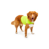 Mellow Shirt para perros, vista frontal, ayuda a calmar durante tormentas o visitas al veterinario.