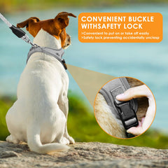 Mengbei Tribe 60-inch reflective leash helps visibility during evening strolls.
