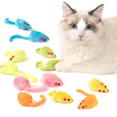 MeoHui rattle cat mouse toys pack encourages activity during indoor play.