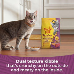 Meow Mix Tender Centers Basted Bites two-texture kibble closeup emphasizes crunchy exterior and meaty interior.