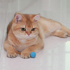 MeowAroma bright-colored cat ball attracts attention and encourages activity