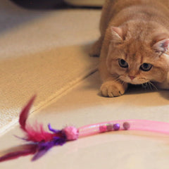 MeowAroma colorful interactive play string captures attention for batting sessions.