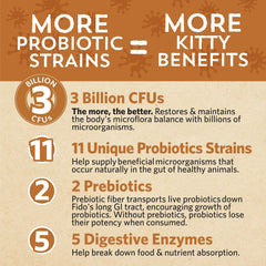 Meowbiotics Good Guts 11-strain probiotic graphic highlights gut diversity.