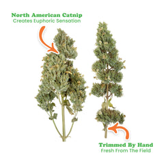 Meowijuana dried catnip buds jar label highlighting organic origin