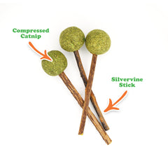 Meowijuana Lollies silvervine sticks closeup showing aroma potential