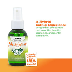 Meowijuana Premium Catnip Spray on a scratcher invites scratching and exploration.