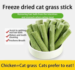Meowly cat grass sticks Dental-usage demonstrates natural chewing for dental care.