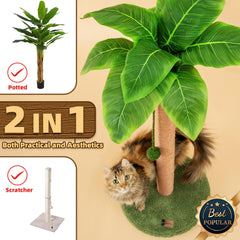 Meowoou cat tree with multi-level sisal posts encourages climbing and scratching