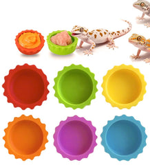 Meowwoof crested gecko feeding cups 6-pack packaged for easy terrarium setup