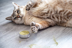 Meowy Janes Catnip Keef label detail confirms all natural sourcing