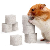 Meric CoCoo grinding stone for small pets packaged, calcium-rich chew option.
