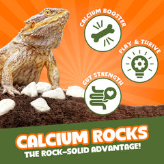 Meric CoCoo Mineral Rocks used for enrichment setup providing climbing and exploration.